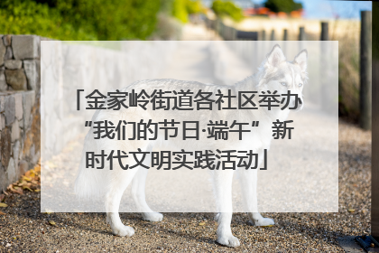 金家岭街道各社区举办“我们的节日·端午”新时代文明实践活动
